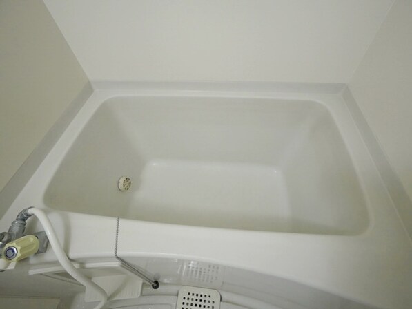 シルクトゥリーの物件内観写真